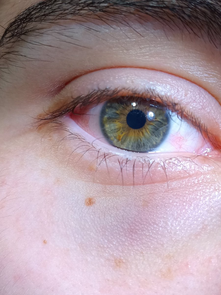 boxofscars tweet media