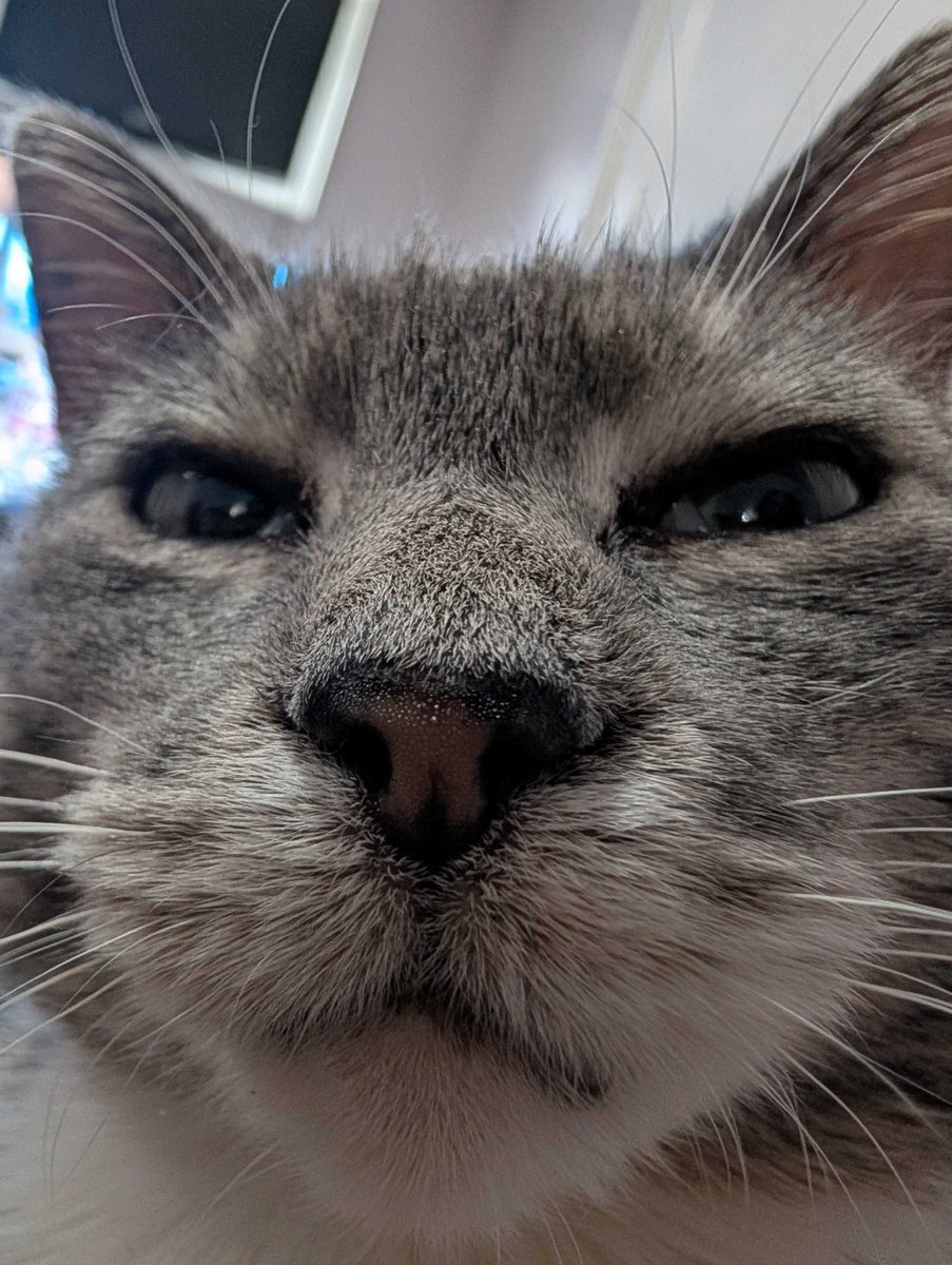 John Rairdin NWR tweet media