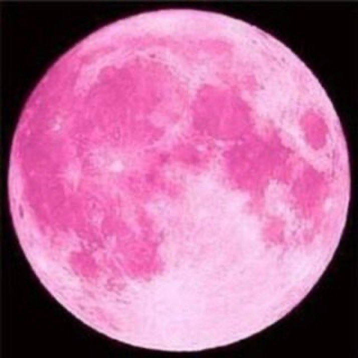 どく姉 tweet media