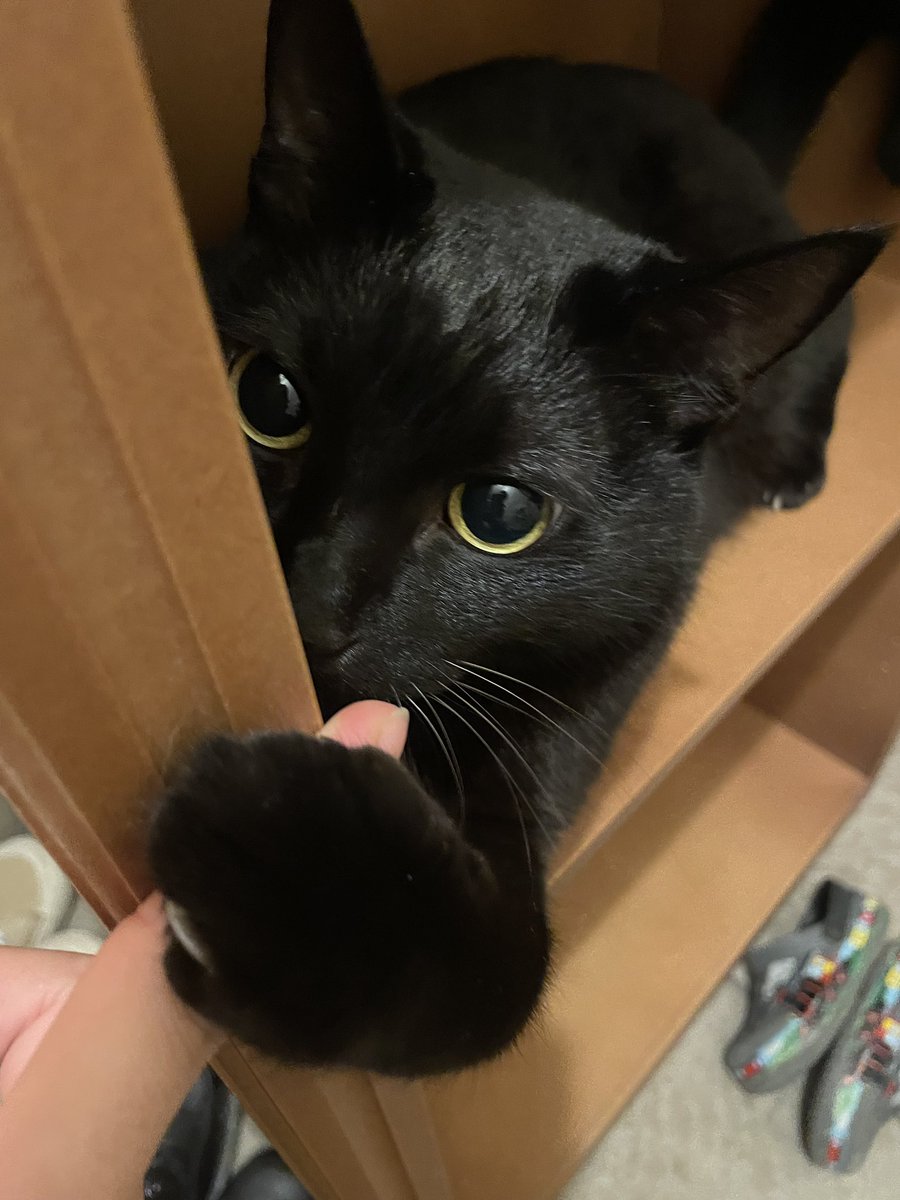 おいも tweet media