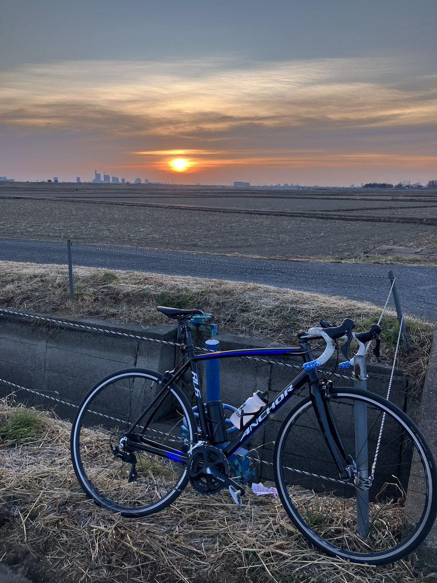 cycle_chiryoin's tweet photo. 荒川大橋までLSD

往路左岸,復路右岸でいつもと逆回り。
往路後半は風速7m/sの爆裂向かい風で大芦橋〜久下橋間が無限の地獄に感じたが、帰りは追い風でラクラク帰宅。

さくら堤公園の少し南でヤギの群れに遭遇。
愛車を齧り始めたのですぐに撤退 https://t.co/pRhxhb02Za