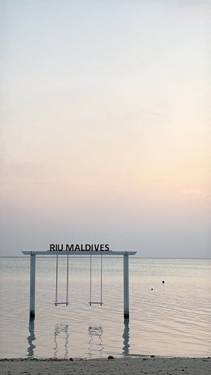 Taldecual tweet media