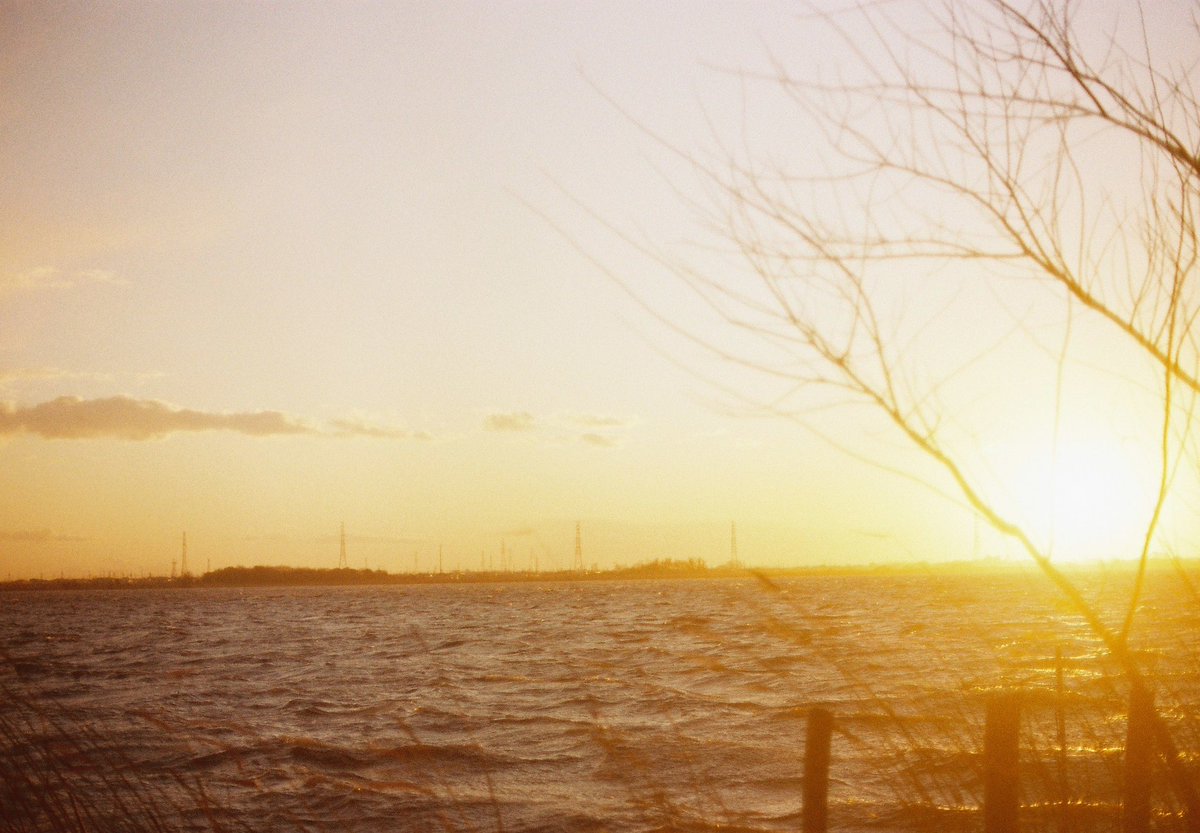 Wlpixel8's tweet photo. 牛久_初ソロキャン

📸:Canon AE-1 Programme
🎞️:Kodak GOLD 200

2026-1-11

#うしくさんぽ https://t.co/ELulPyx4VI