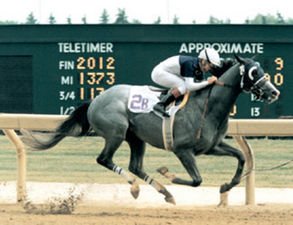 IZVESTIA🇨🇦1987
(ICECAPADE  ▪︎ SHY SPIRIT BY PERSONALITY)
#Izvestia
B/O Kinghaven Farm (On) May 5, 1987
T/ Roger L. Attfield
21-11-2-2---$2,702,527
1990 Champion 🏆 3yo Colt,  Champion 🏆 Turf Horse &amp; Horse Of The Year in Canada 🇨🇦 , 👑👑👑Triple Crown winner in Canada 🇨🇦