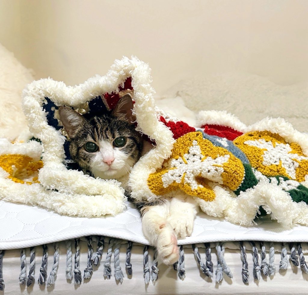 ｷｬ─(´∩ω∩｀)─♡菊さま〜ﾗﾌﾞﾘｰ🩷