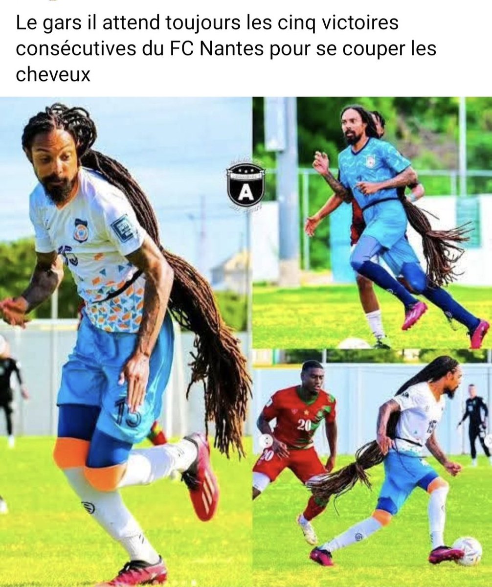 Guifoz tweet media