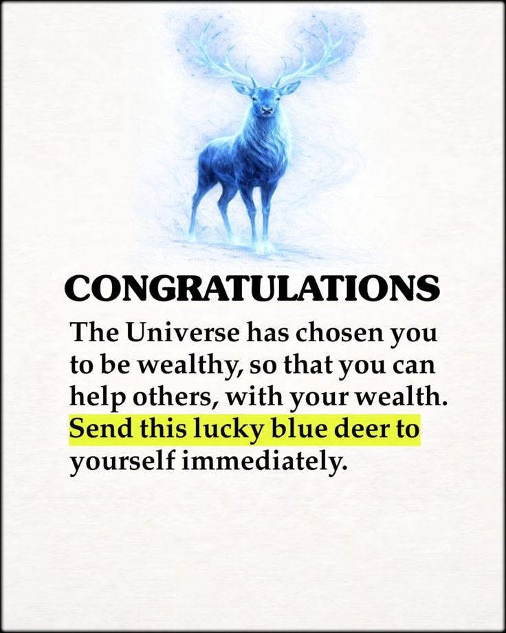 Money Mantra tweet media