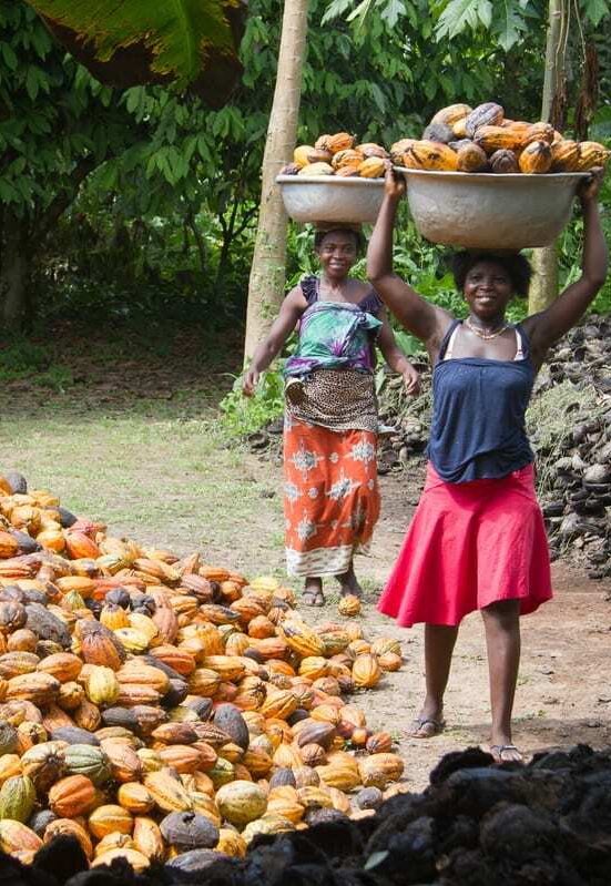 BongoIdeas's tweet image. Mahama’s speech on cocoa has broken the global internet: media firms from China, Russia, Latin America, the Caribbean, Europe, and even the US are all reporting on it. Ghana is leading the way; hopefully, other African countries will fall in line. The time is now!