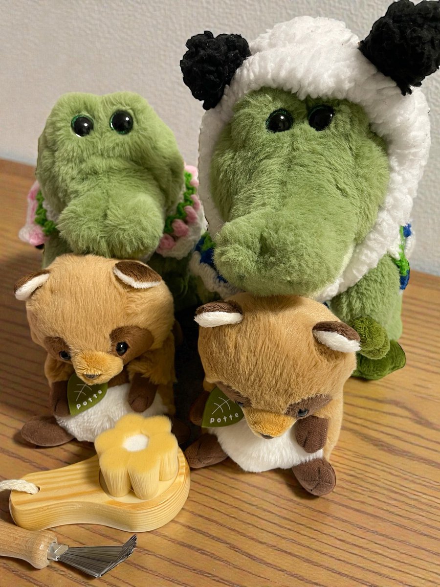 毛並み、整えてみたけどどおだったかな…？
またブラシでといて綺麗にしようね✩.*˚