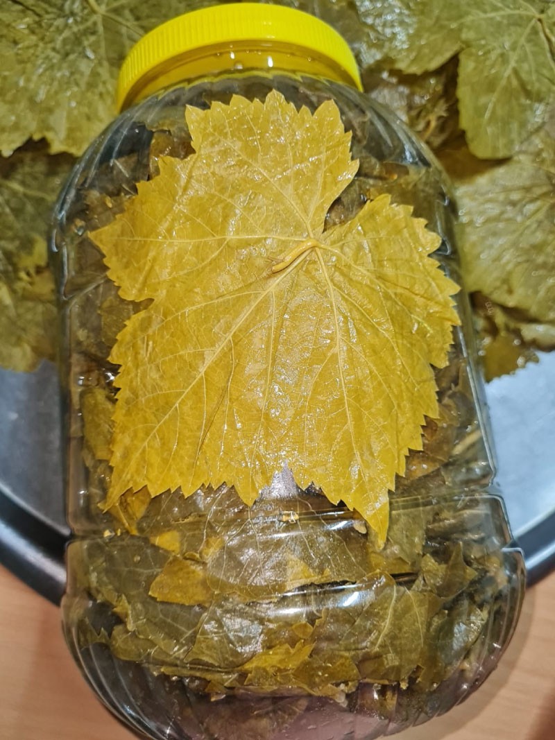 Bahtiyar Kara tweet media