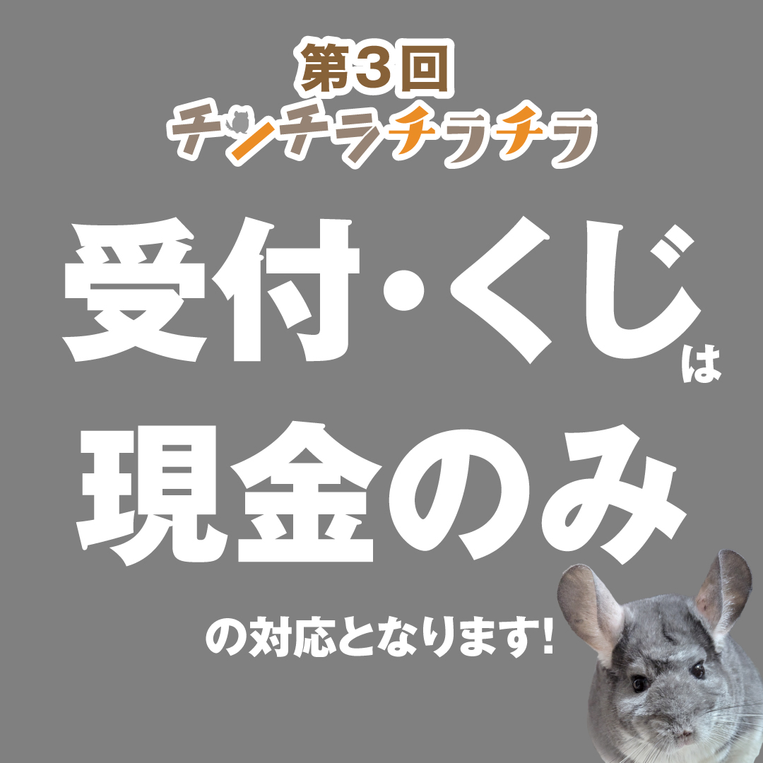 ⚠️チンチラチラチラ注意報⚠️
当日の「受付」「チンチラすずきくじ」は現金対応のみとなります💪
当日までにできればおつりのないように崩してきてくださると買い物がスムーズですよ！🫶
よろしくお願い申し上げます🙇