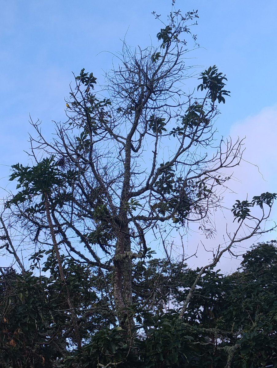 Fundación Servicio para el Agricultor (FUSAGRI) tweet media