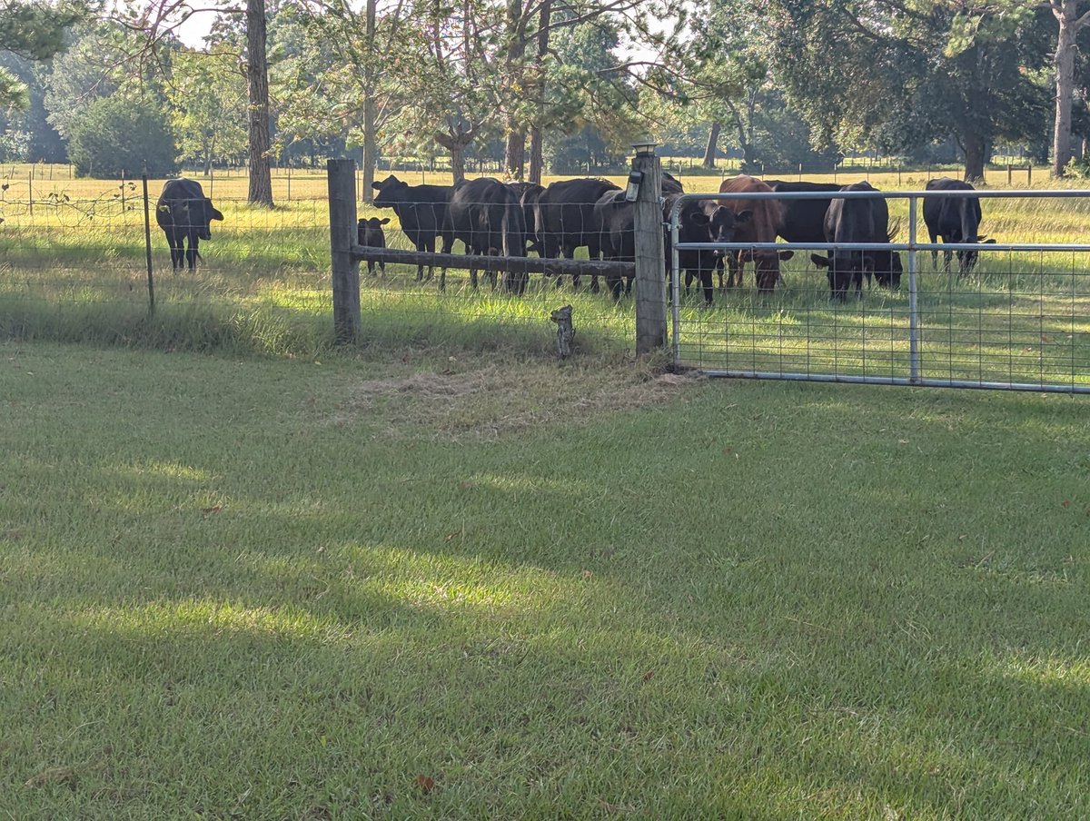 Good morning from Florida