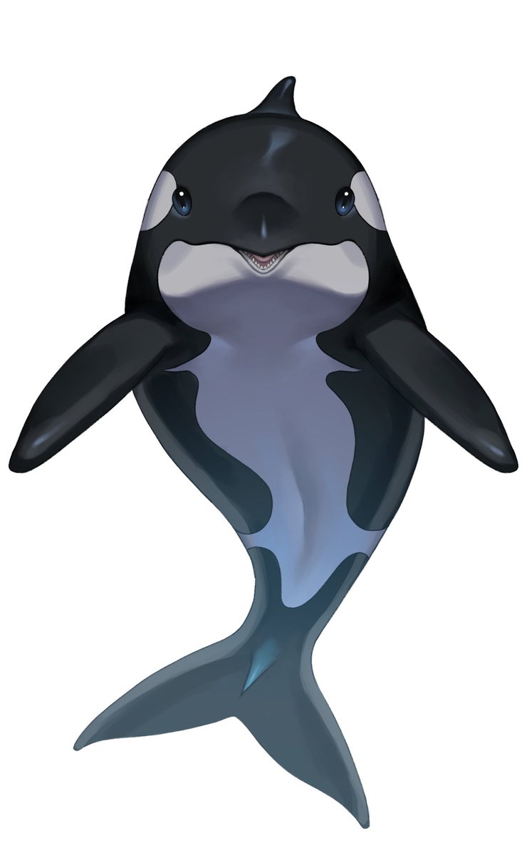 魚虎鈴オルカ@なこりおるか tweet media