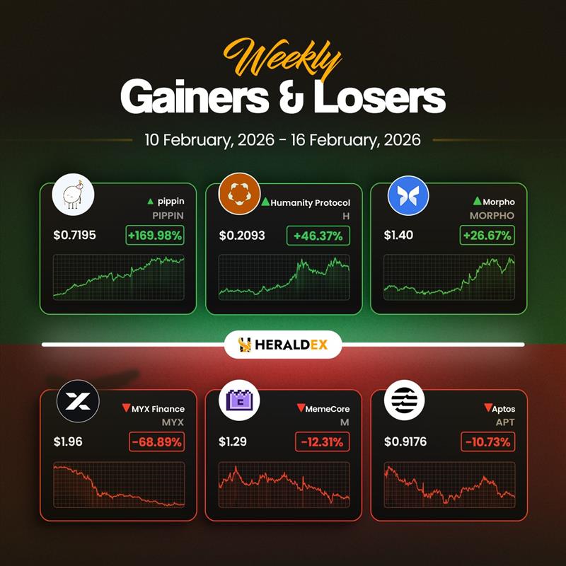 Herald Exchange tweet media
