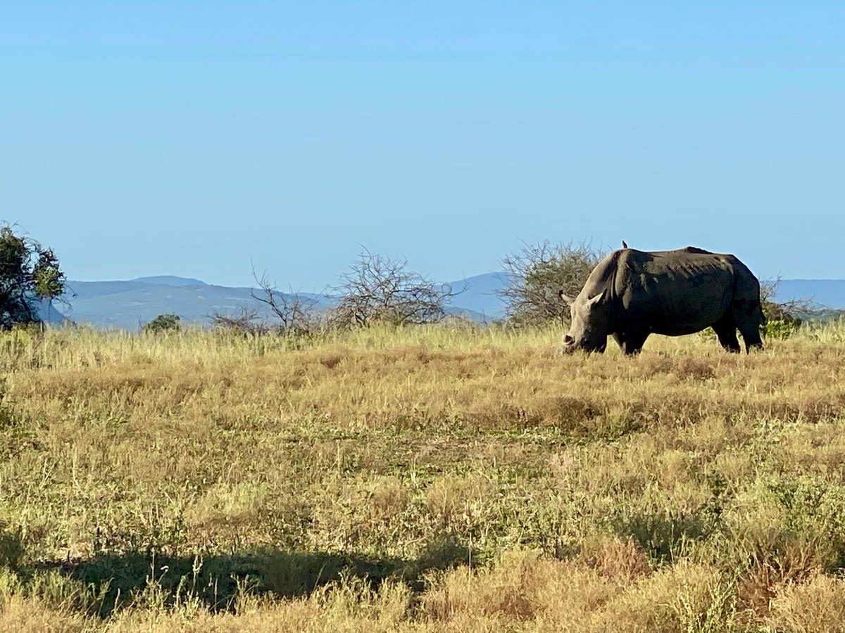 WildlifeACT Innovations tweet media