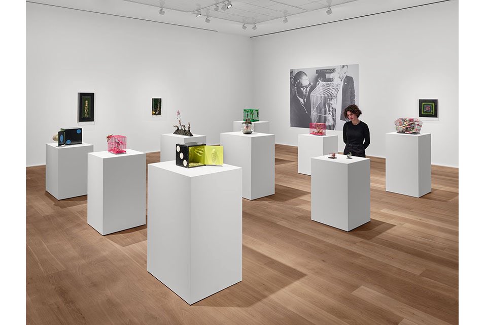 I am a fan-In wide-ranging practice spanning 4 decades, Japanese