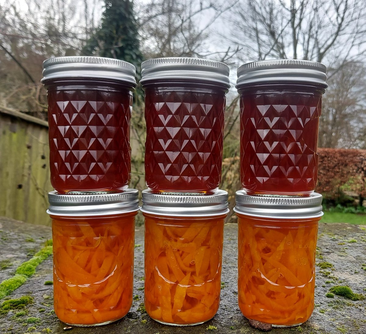 netherfield 🌻 tweet media