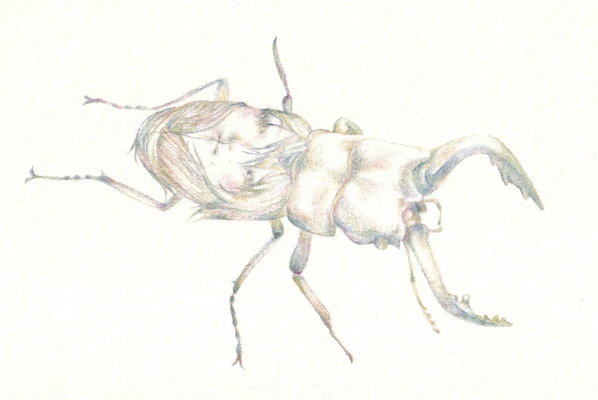 kizuki_yo_'s tweet image. 