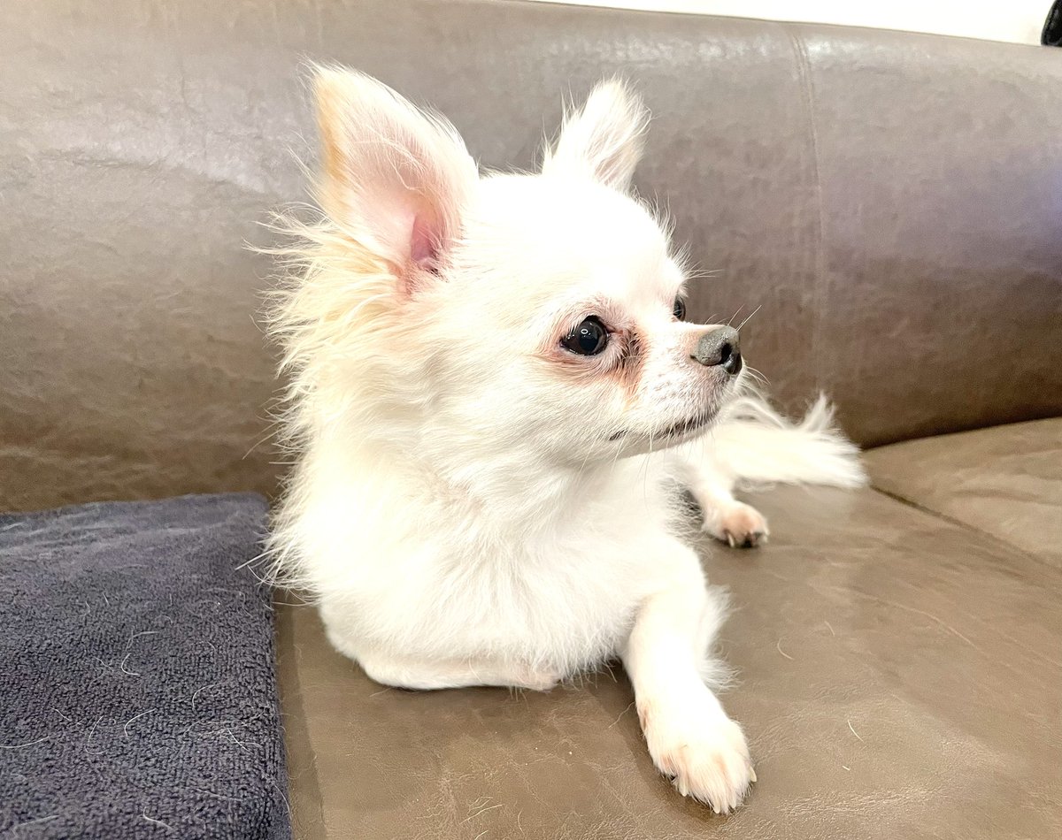 稲葉@水戸ライトハウス tweet media