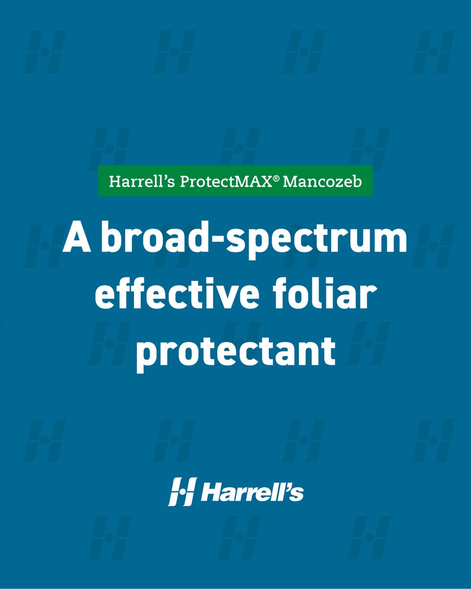 HarrellsLLC's tweet photo. Prevention + rotation = stronger disease and algae control

Harrell's ProtectMAX Mancozeb delivers broad-spectrum foliar protection with multi-site inhibition, making it a valuable tool for resistance management and preventive programs.

Contact your Harrell’s rep to learn more.
https://t.co/DhjZhclCei
