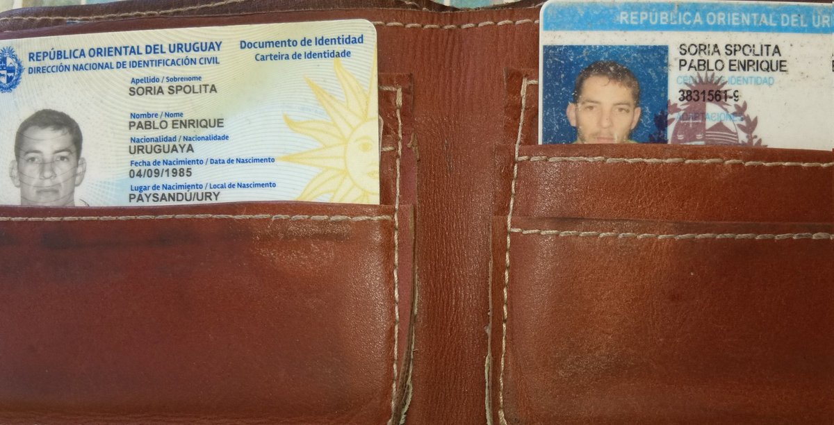 Ballenas de tweet media