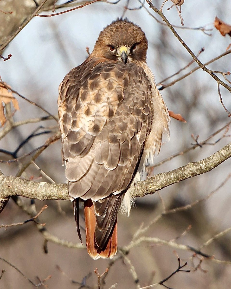 Lisa Nature Photo tweet media