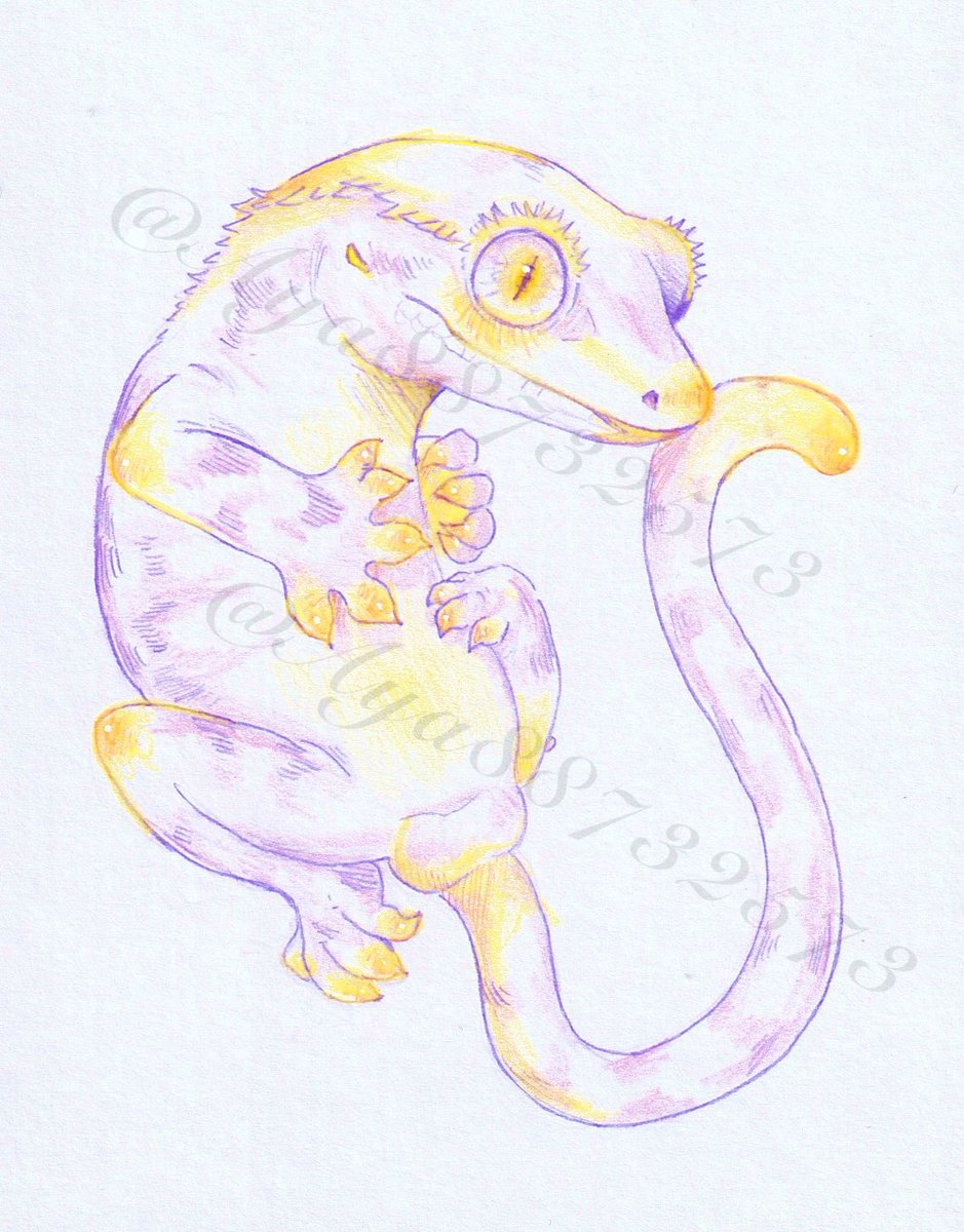 🦎Aya🦎 #2/28、3/1 WAF出店 (@Aya88732573) / Posts / X