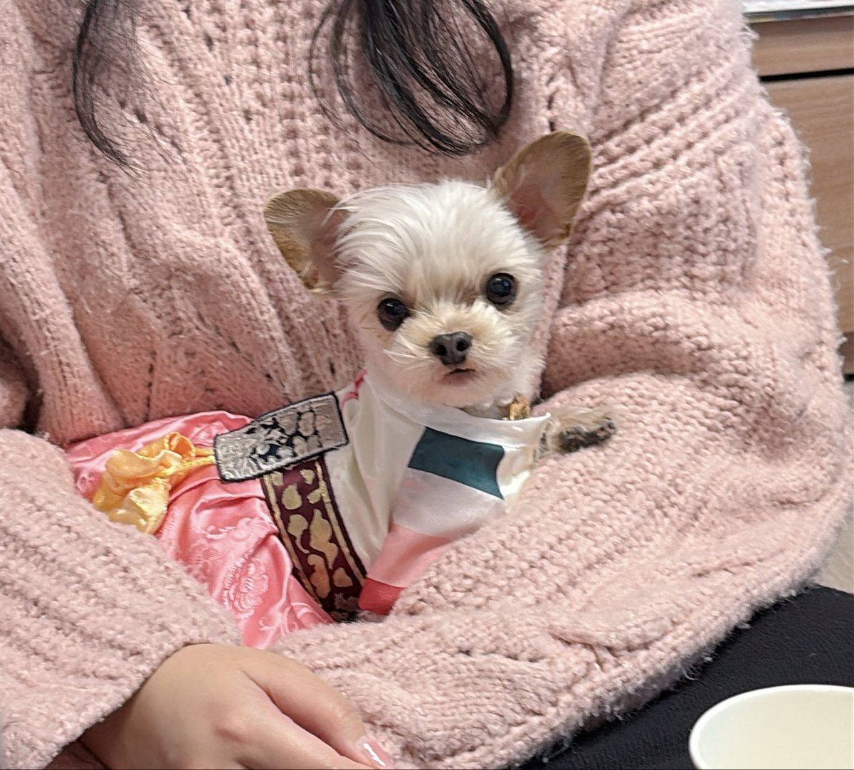 새해복마니받으세여🧧🧧🧧💖