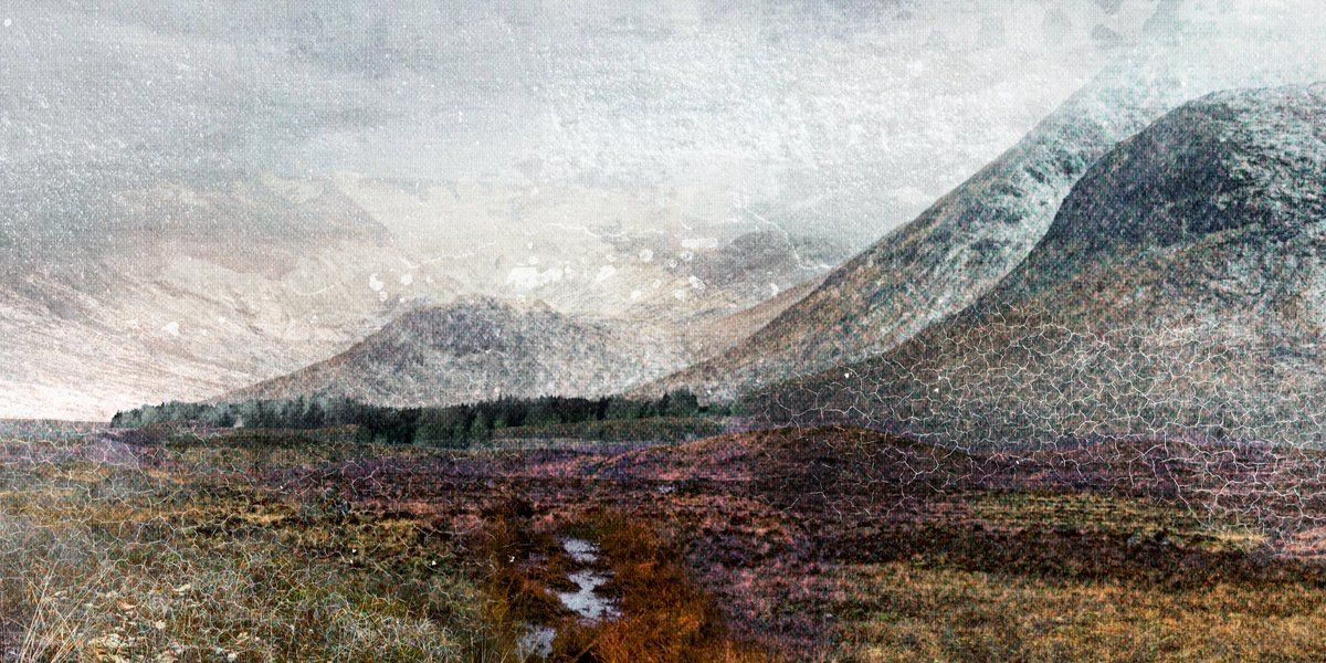 John Muir Trust tweet media