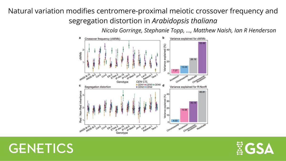 Genetics Society of America tweet media