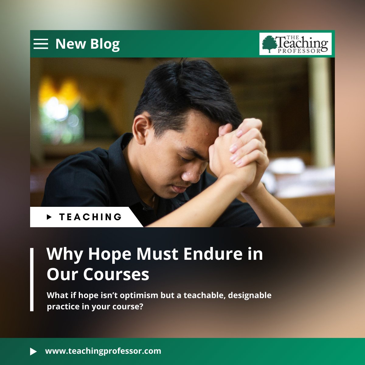 Teaching Professor tweet media