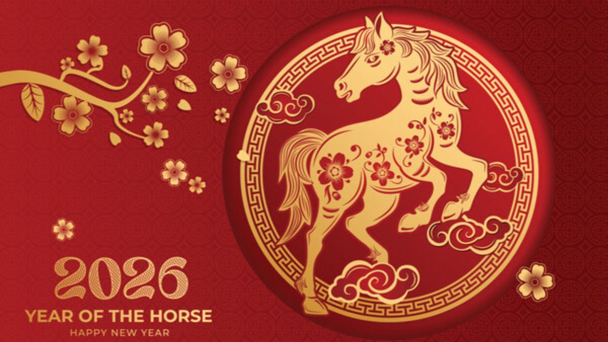 mavittuna's tweet photo. Happy Lunar New Year https://t.co/VyyvBGJgWc