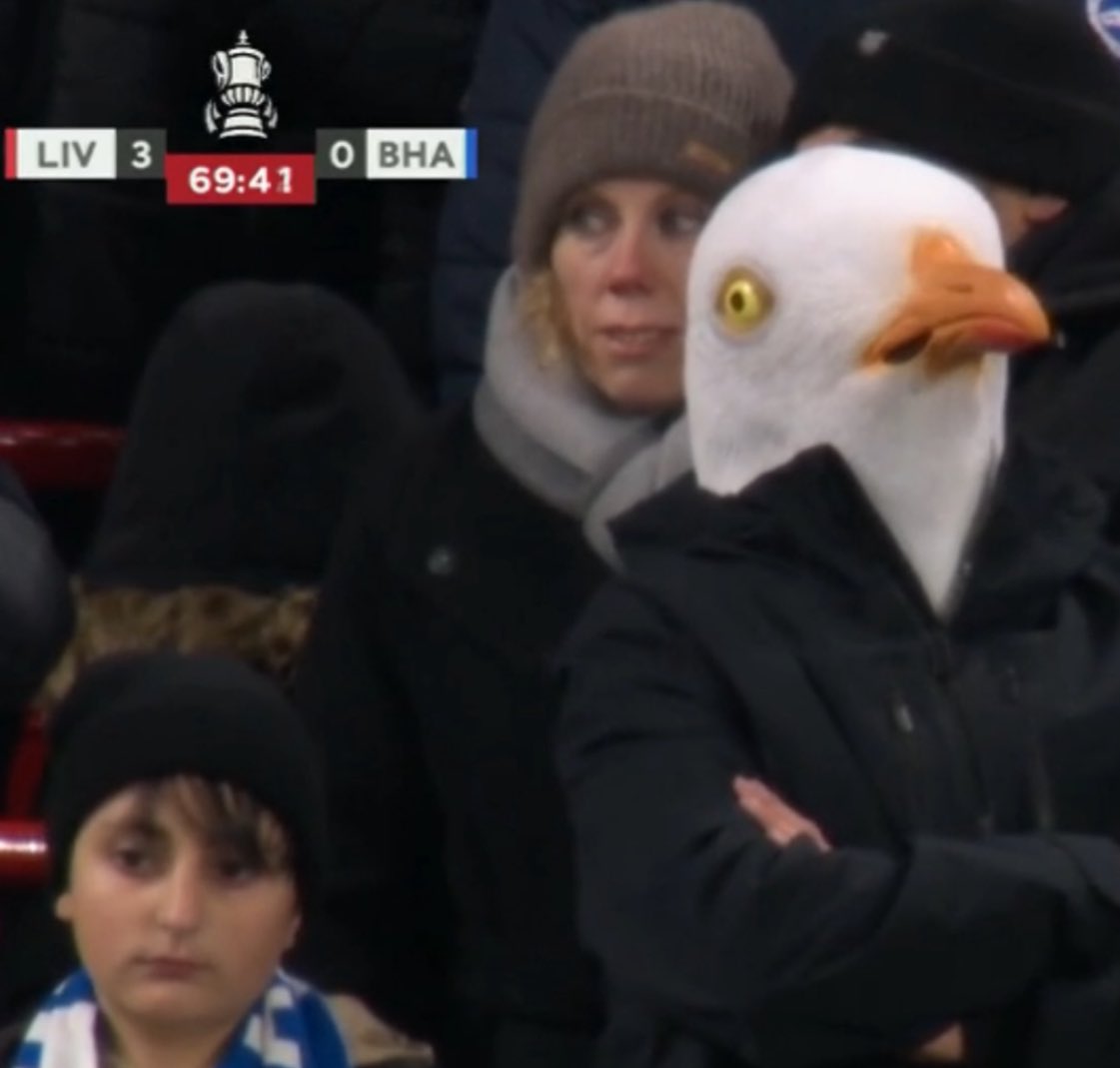 George Boxall tweet media