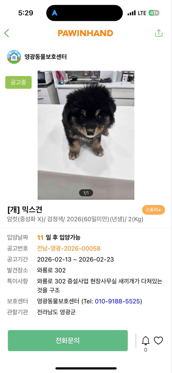 영광군유기동물보호소 tweet media