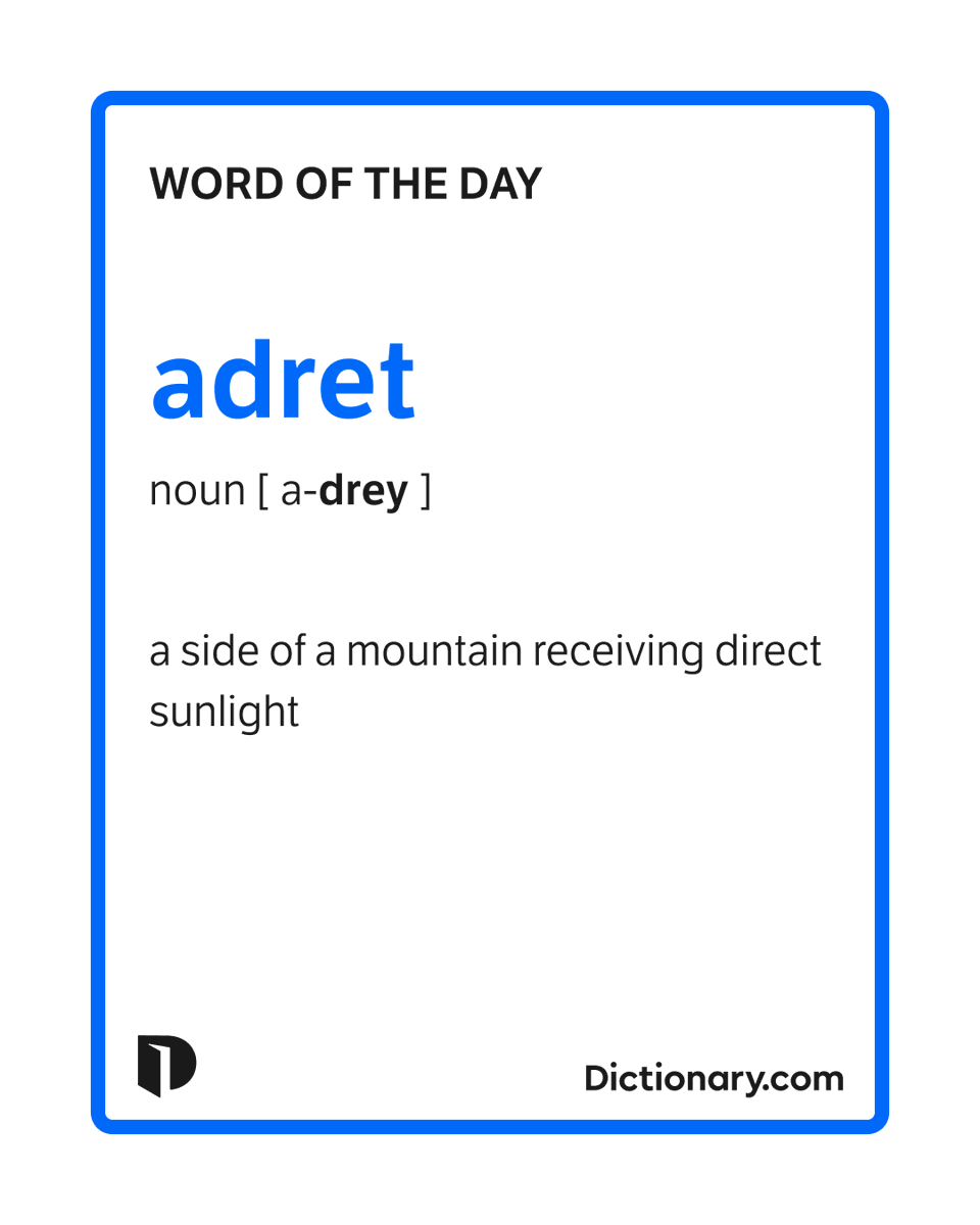 Dictionary.com tweet media