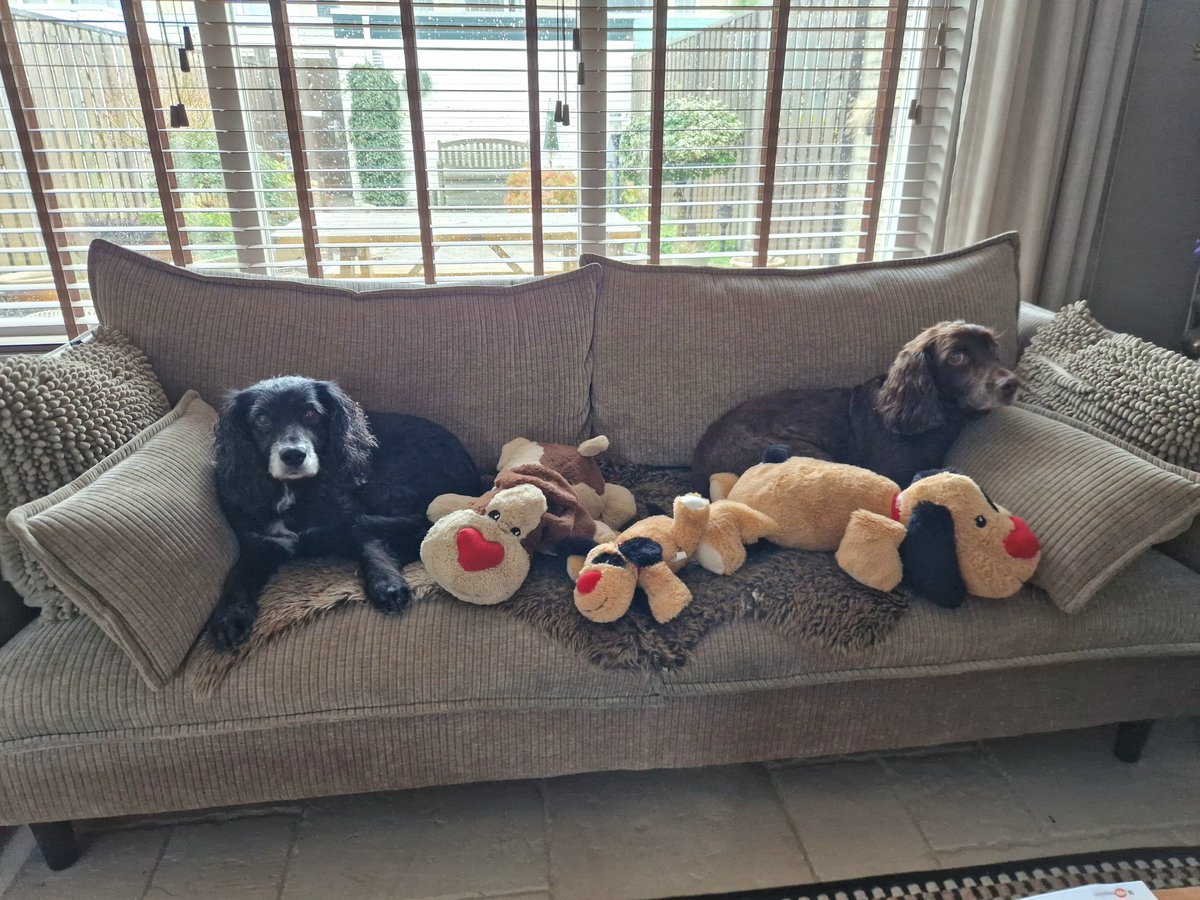 Irma van Hoeven tweet media