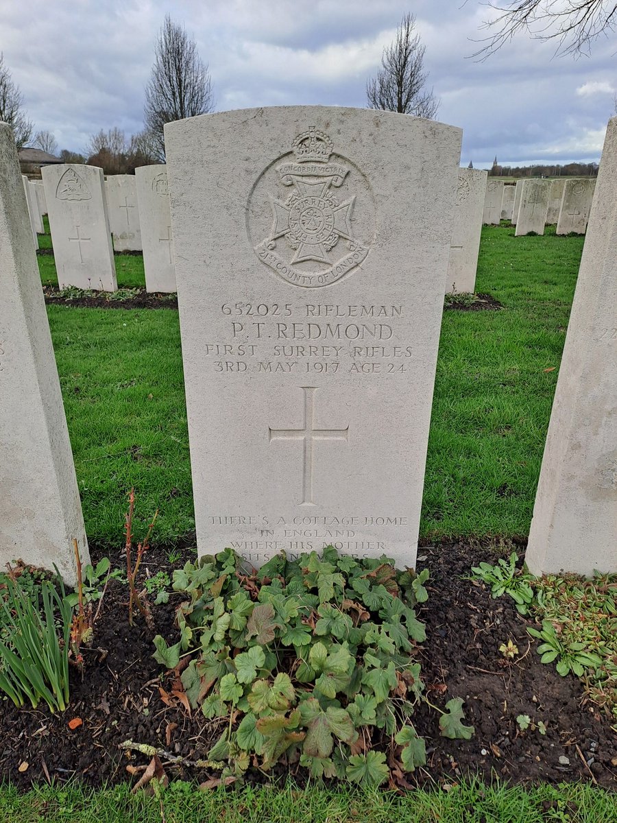 Beth Moore tweet media