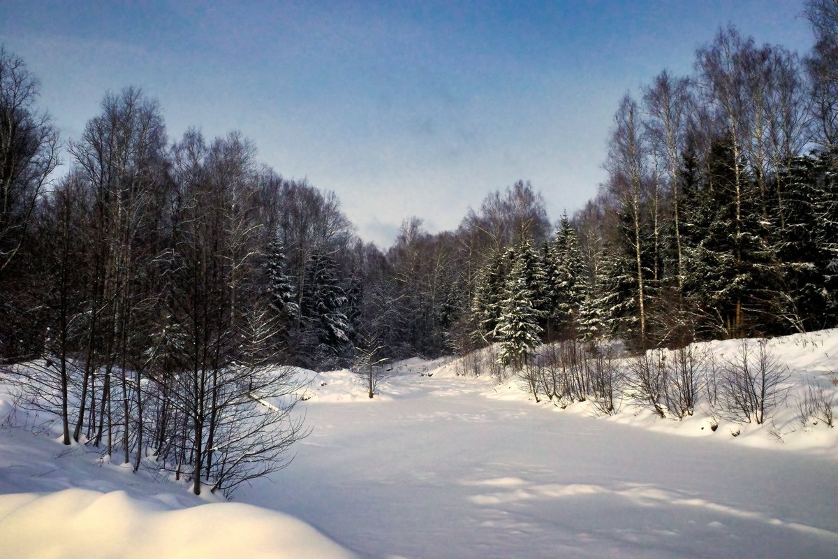 PEKHTography's tweet image. Blanket smoothed over frozen lake, pines dusted like cake. 
Not a footprint—
just the audacity of blank space existing in 2026 🌲 
Nature's version of Inbox Zero. 
Absolutely unhinged ⚡ 
#Serenity #WinterWonderland #FreshStart #Breathe