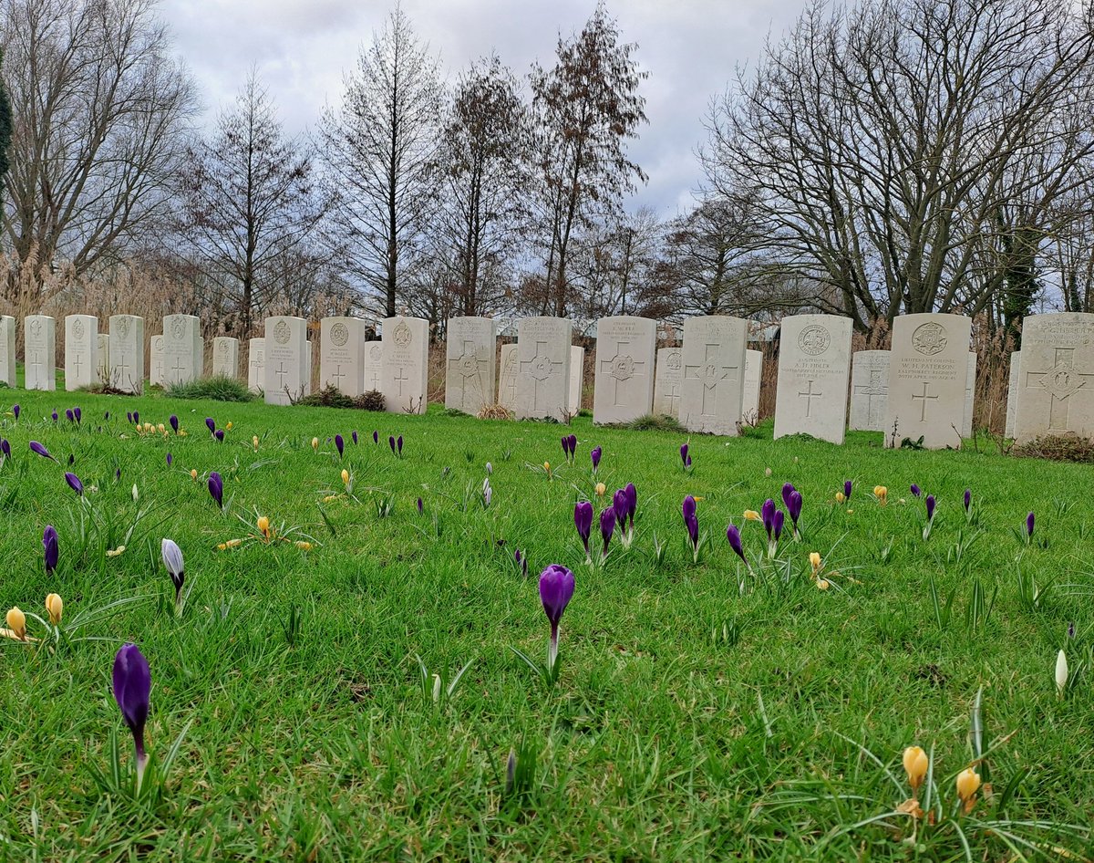 Beth Moore tweet media