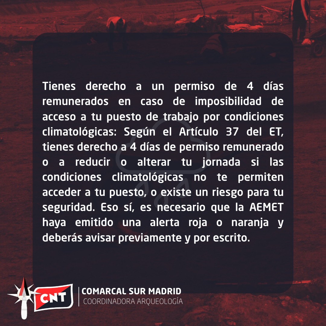 Coordinadora de Arqueología - CNT Comarcal Sur tweet media