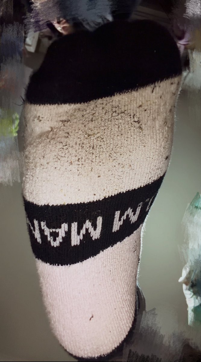 杏氷楽 tweet media