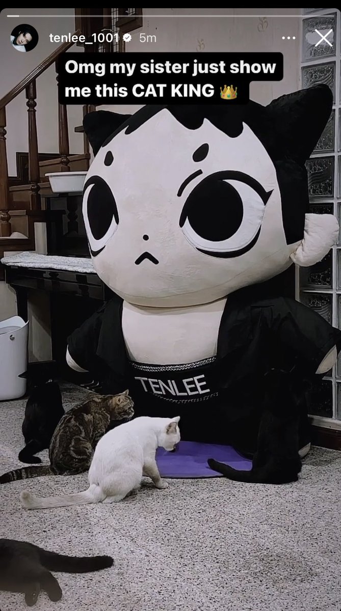 เตนอะ appreciate สิ่งที่แฟนคลับทำให้เสมอจริงๆ น่ารักมากๆ เค้ารักและแคร์แฟนคลับมากๆๆๆๆๆๆๆๆ รักเตน ㅠㅜㅠㅜㅠㅠㅜㅠㅜ แฟนคลับไทยทำโปรเจคให้เตนอยู่ไทยเตนว่างมีเวลาก็ไปถ่าย ตอนเหมียวเตนยักษ์ส่งไปบ้านก็ลงสตอรี่ รักเตน