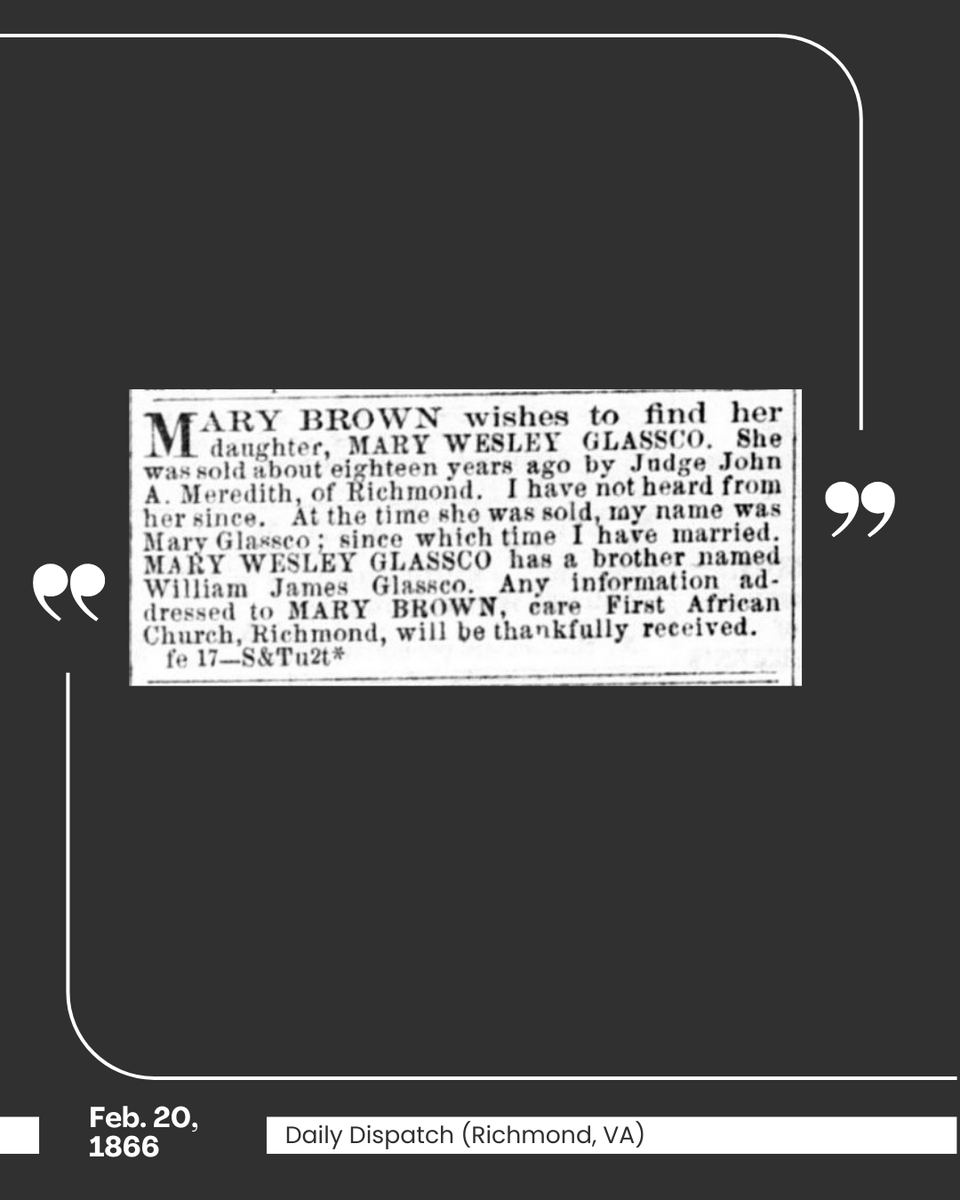 Last Seen Project tweet media