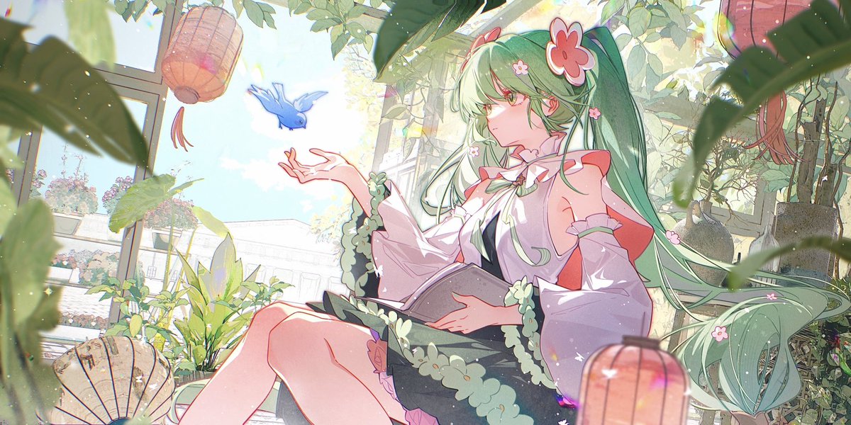 飞机云君 tweet media