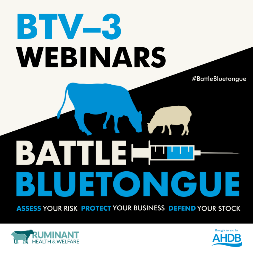 Ruminant Health & Welfare tweet media