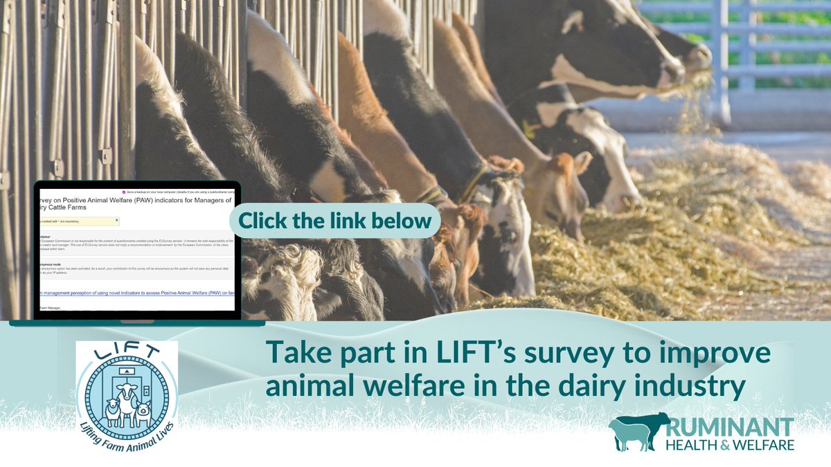 Ruminant Health & Welfare tweet media