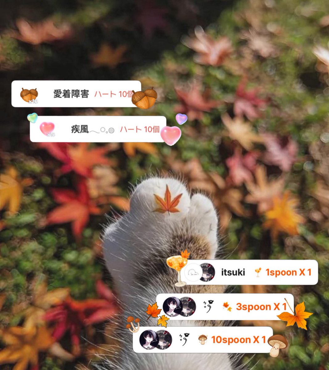 va0nly's tweet photo. #11 11.18 18:05~/ 𝟣𝟢𝗆
 ︎︎
 ︎︎
𝖠𝖫𝖳˖📨⁺ https://t.co/am9Y8hyGxI