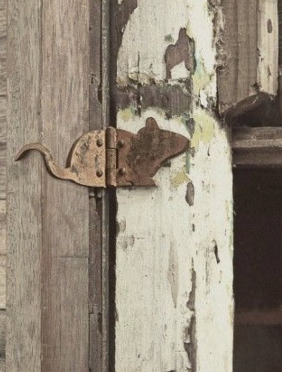 RatsPicnic's tweet image. Squeaky door hinge