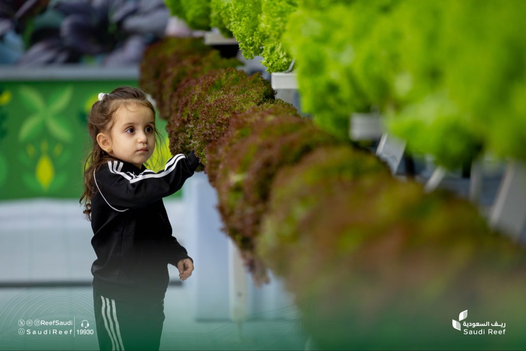 ReefSaudi's tweet photo. بين الجذور والحضور.. 
يلتقي التراث بالابتكار، ويجسّد ريادة الدار 

#معرض_قطر_الزراعي_الدولي_13 
#ريف_السعودية 
#عطاء_ونماء https://t.co/wB6fjk8DBQ